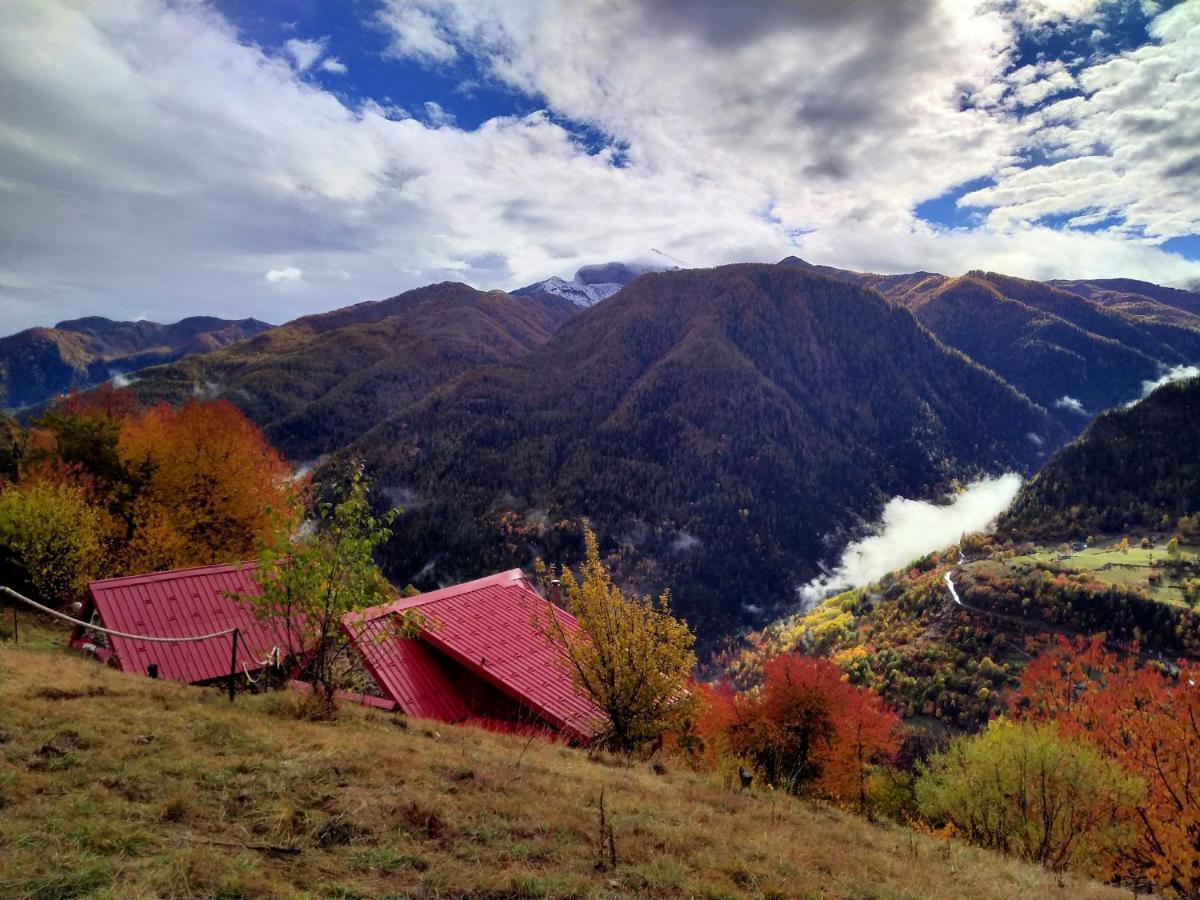 Les Toits Rouges - Le Luxe De La Simplicite Au Bout Du Sentier Bed & Breakfast Saint-Etienne-de-Tinee Luaran gambar