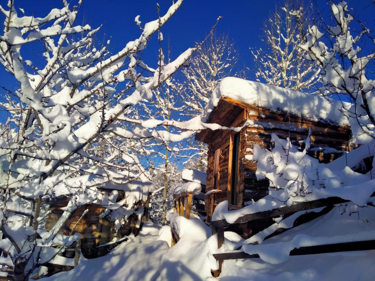 Les Toits Rouges - Le Luxe De La Simplicite Au Bout Du Sentier Bed & Breakfast Saint-Etienne-de-Tinee Luaran gambar